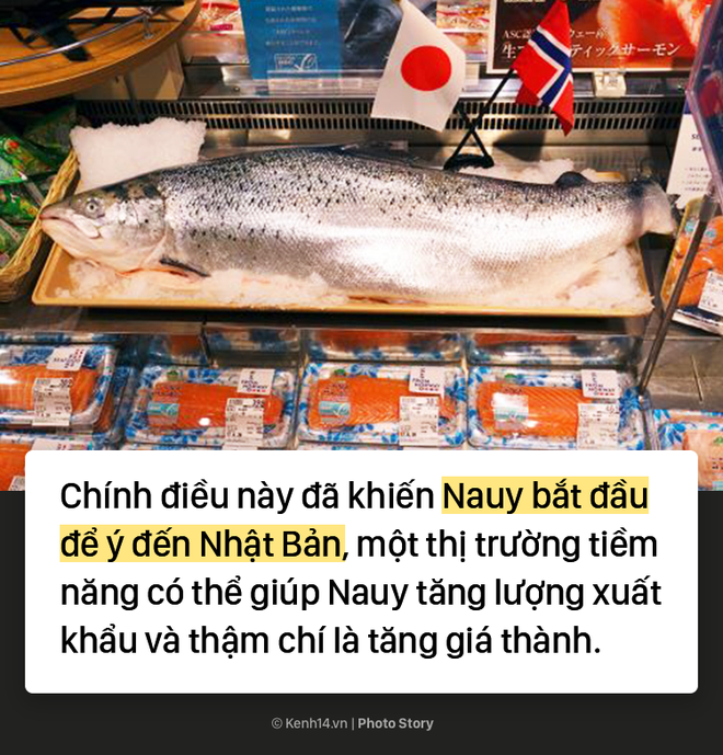 Bật mí nguồn gốc không phải ai cũng biết về sushi cá hồi - Ảnh 11.