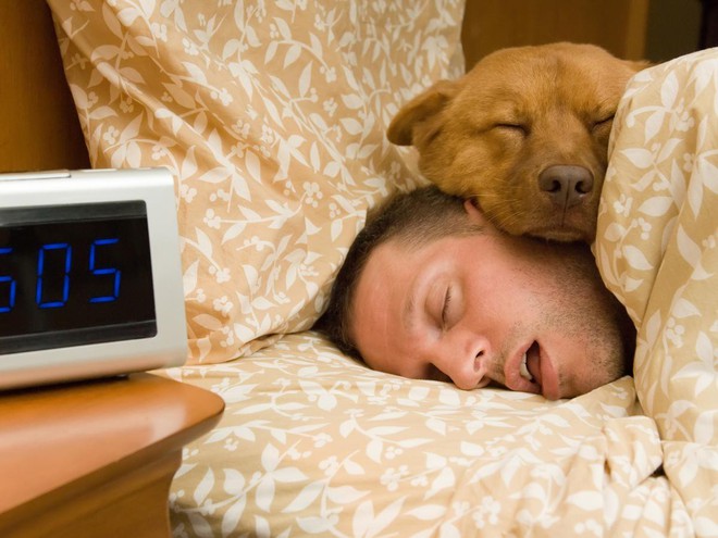 Thói quen ngủ nướng vào cuối tuần hóa ra đem lại tác dụng có lợi không tưởng - Ảnh 1.