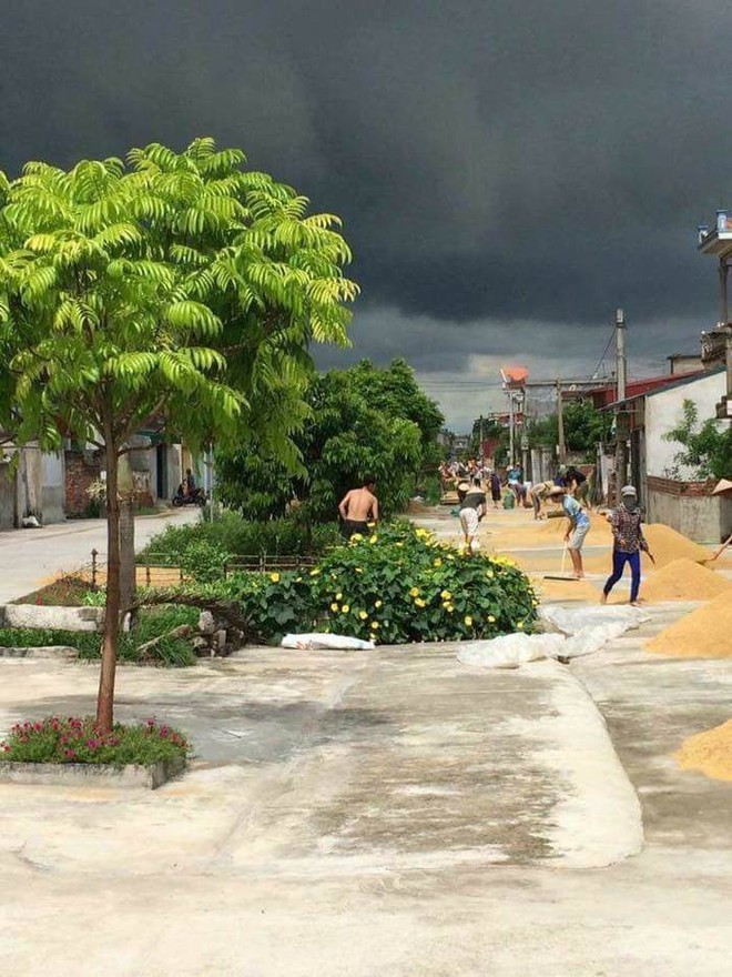 C&ocirc; g&aacute;i phi xe m&aacute;y một mạch về qu&ecirc; phơi gi&uacute;p mẹ 5 tấn th&oacute;c khiến cư d&acirc;n mạng bồi hồi nhớ về một thời đ&atilde; xa - Ảnh 9.
