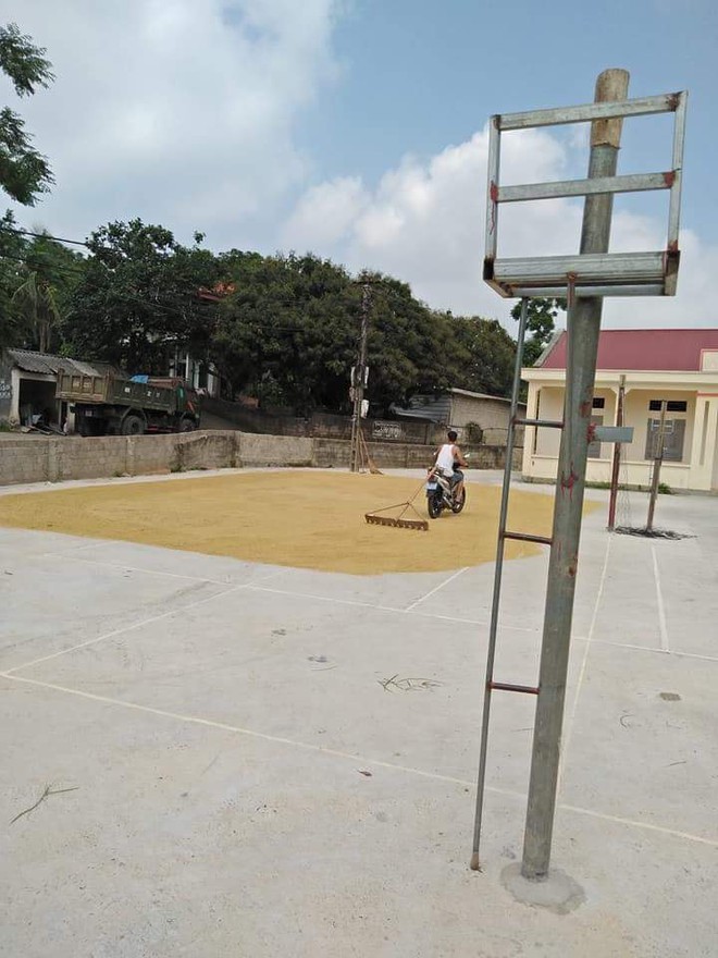 C&ocirc; g&aacute;i phi xe m&aacute;y một mạch về qu&ecirc; phơi gi&uacute;p mẹ 5 tấn th&oacute;c khiến cư d&acirc;n mạng bồi hồi nhớ về một thời đ&atilde; xa - Ảnh 4.