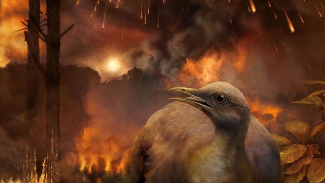 Cùng phải chịu thảm họa thiên thạch nhưng vì sao khủng long tuyệt chủng, chim thì không? - Ảnh 2.