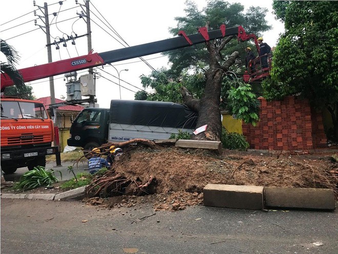 Mưa lớn kèm gió mạnh làm sập mái nhà, quật ngã cây xanh kéo gãy trụ điện ở Sài Gòn  - Ảnh 1.