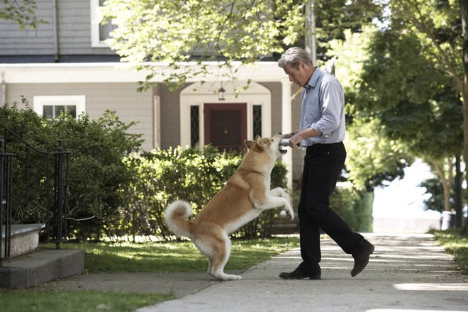 “Hachi: A Dog’s Tale”: Một chú chó có thể dạy bạn những gì, về tình yêu? - Ảnh 3.