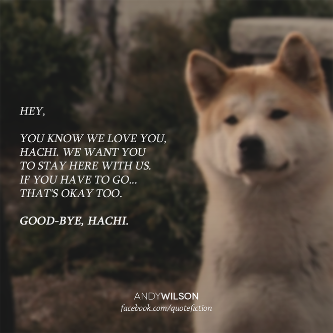 “Hachi: A Dog’s Tale”: Một chú chó có thể dạy bạn những gì, về tình yêu? - Ảnh 10.