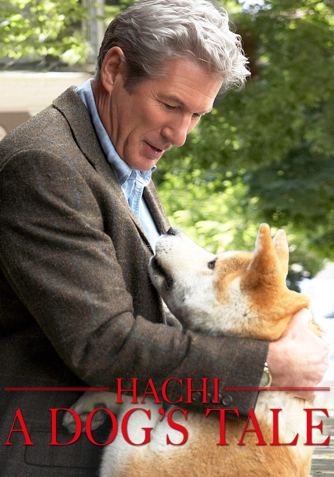 “Hachi: A Dog’s Tale”: Một chú chó có thể dạy bạn những gì, về tình yêu? - Ảnh 1.