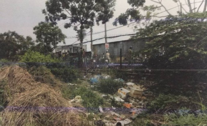 Làm rõ vụ bé trai sơ sinh bị đàn heo rừng tha ... tử vong ở Sài Gòn - Ảnh 1.