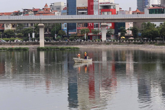 Hà Nội: Cá lại chết nhiều bất thường, nổi lềnh bềnh ở hồ Hoàng Cầu - Ảnh 6.