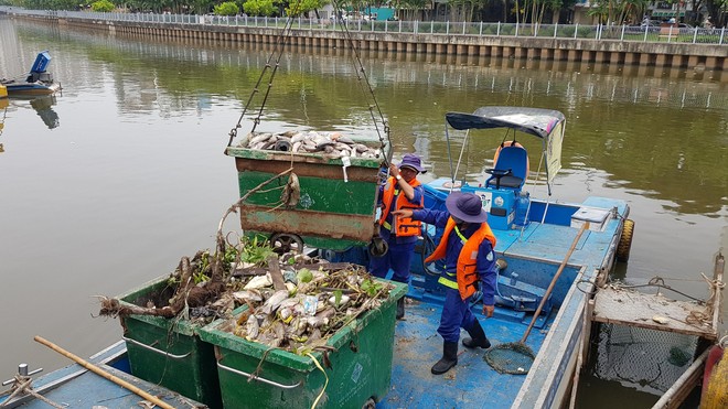 Cá lại chết hàng loạt trên kênh Nhiêu Lộc - Thị Nghè ở Sài Gòn - Ảnh 3.