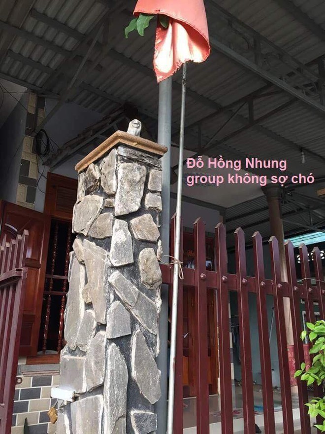 Xuất hiện sư tử đá phiên bản mini được đặt uy nghi ở cửa chính hot nhất MXH  - Ảnh 2.