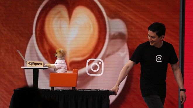 Đọ sức nóng với Hot dog 8 triệu follower Instagram: Được dự event của Mark Zuckerberg, đóng MV cho Katy Perry... - Ảnh 4.