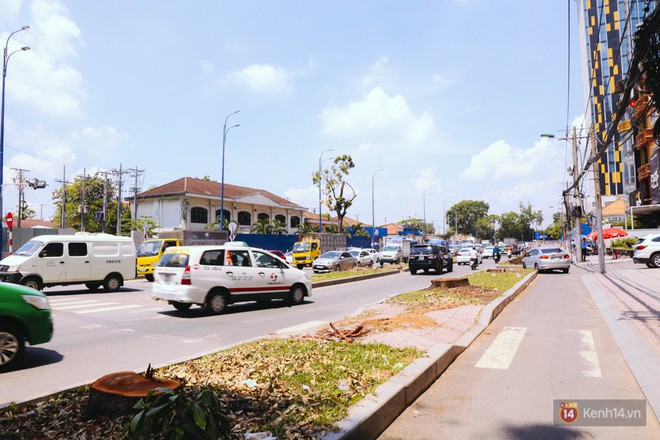 Chùm ảnh: Đường Tôn Đức Thắng trở nên lạ lẫm với người Sài Gòn sau khi hàng cây xanh biến mất hoàn toàn - Ảnh 5.