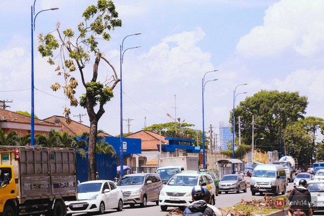 Chùm ảnh: Đường Tôn Đức Thắng trở nên lạ lẫm với người Sài Gòn sau khi hàng cây xanh biến mất hoàn toàn - Ảnh 7.