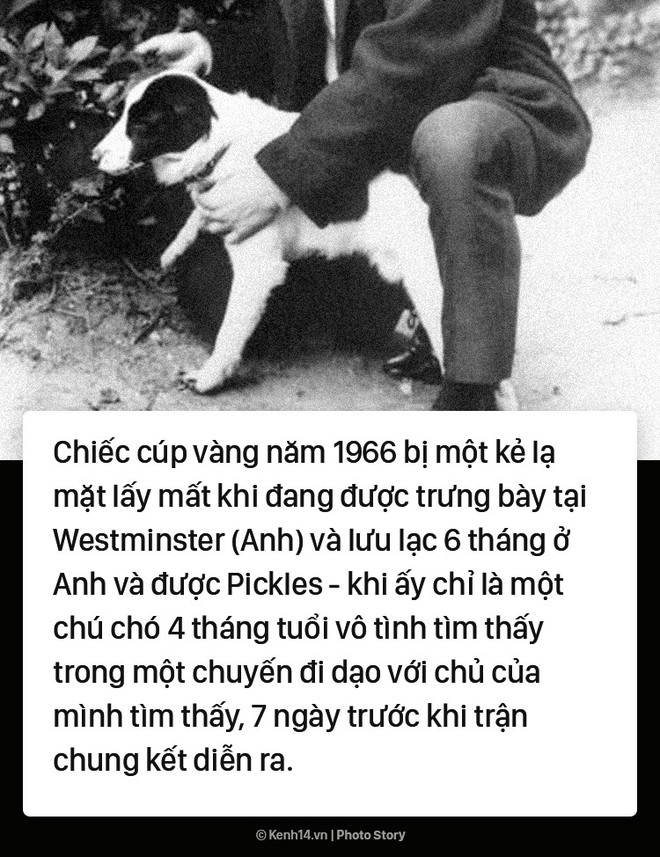 Bạn đ&atilde; biết 12 sự thật th&uacute; vị n&agrave;y của World Cup chưa? - Ảnh 21.