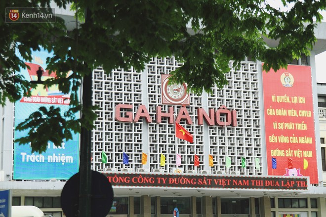 Người H&agrave; Nội tiếc nuối h&agrave;ng c&acirc;y sưa qu&yacute; hiếm chuẩn bị di dời để x&acirc;y ga ngầm - Ảnh 3.