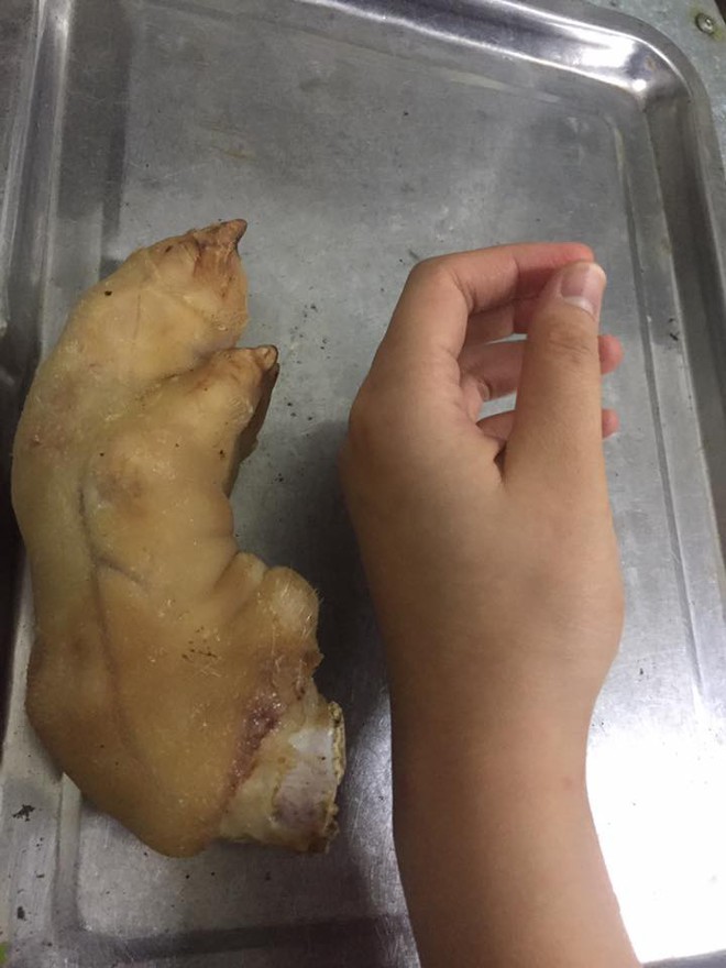 Nhiều c&ocirc; n&agrave;ng thi nhau khoe b&agrave;n tay mũm mĩm để thấy rằng họ chẳng c&ocirc; đơn - Ảnh 2.