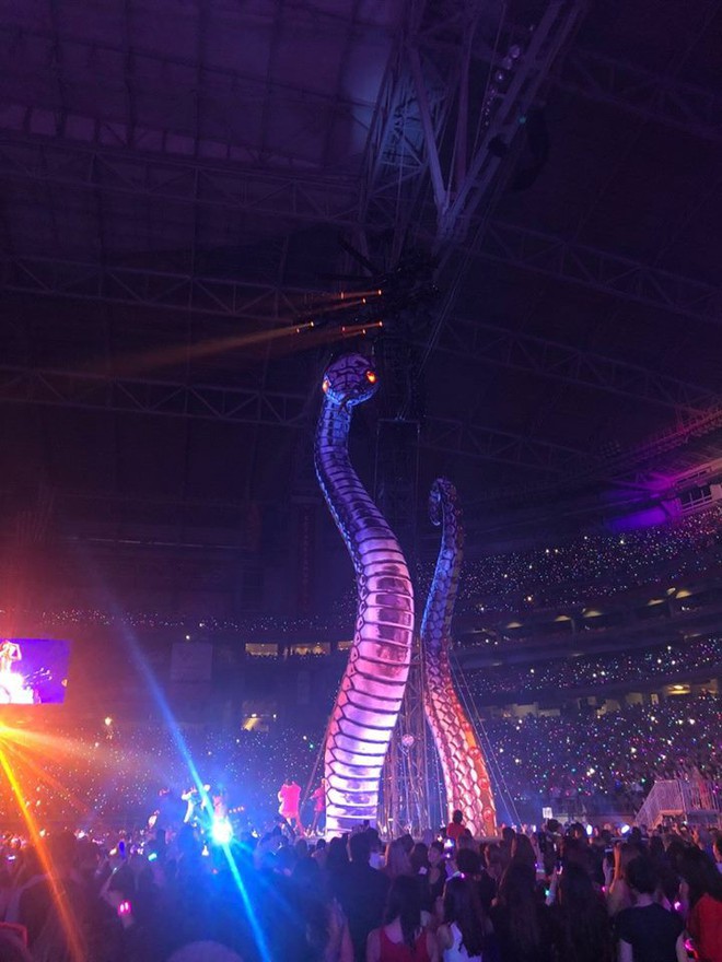 Taylor Swift ch&iacute;nh thức khởi động tour diễn khủng: Rắn to, rắn b&eacute;, rắn khắp mọi nơi! - Ảnh 2.