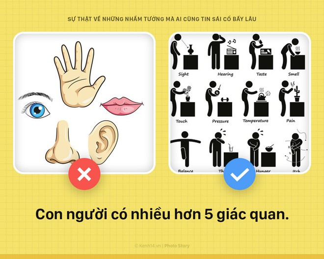 6 điều hàng ngày bạn đang tin sái cổ hóa ra đều là... hư cấu - Ảnh 5.