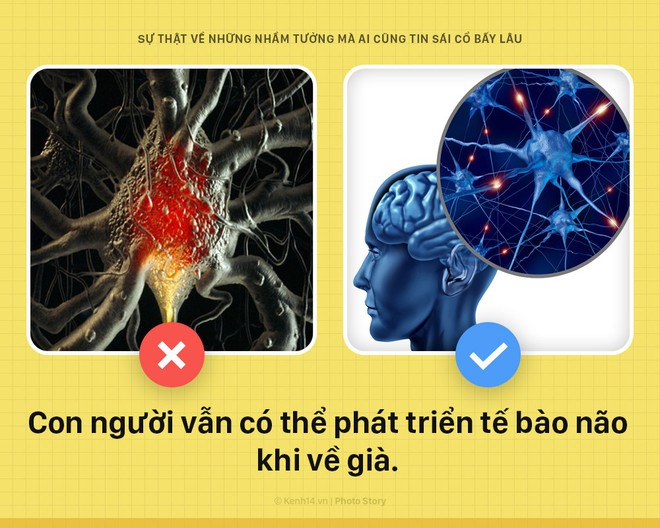 6 điều hàng ngày bạn đang tin sái cổ hóa ra đều là... hư cấu - Ảnh 11.