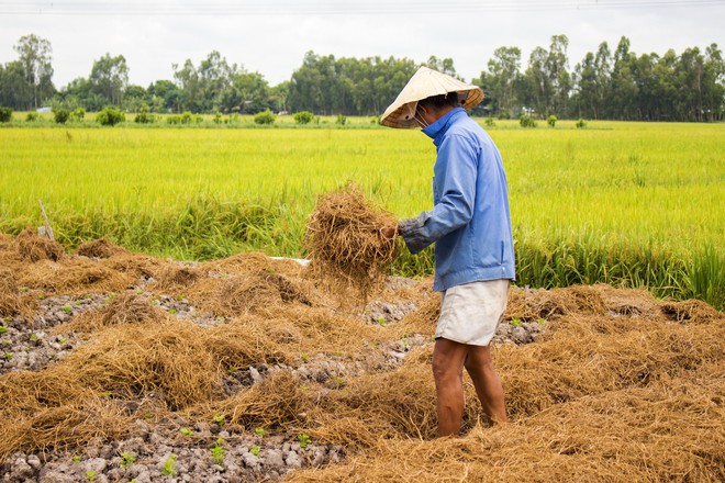 Nữ sinh mặc áo dài, lội ruộng chụp ảnh với cha trong ngày bế giảng: Mình chẳng ngại gì khi cha mẹ là nông dân - Ảnh 3.