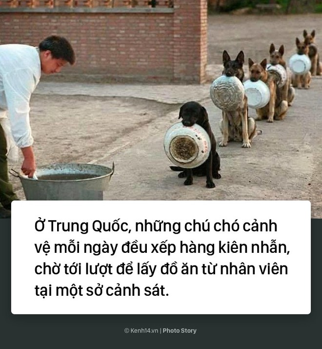 8 câu chuyện khiến bạn tin rằng thế giới này vẫn còn rất nhiều điều tốt đẹp - Ảnh 3.