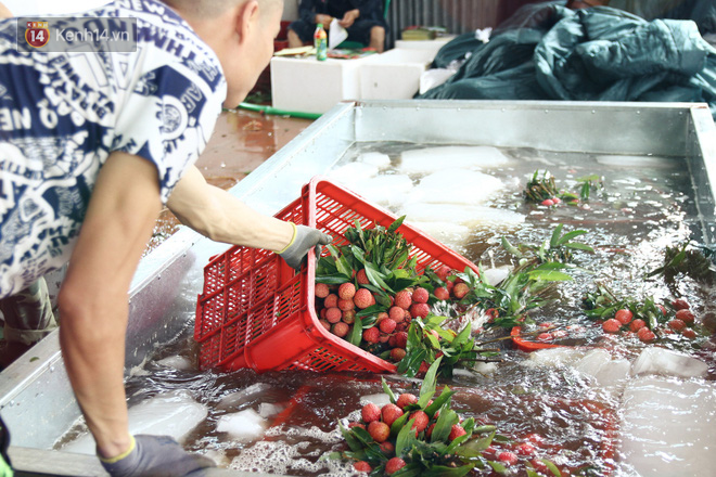 Về Bắc Giang thăm người dân Lục Ngạn trước thông tin 10 ngàn 3kg vải thiều: 