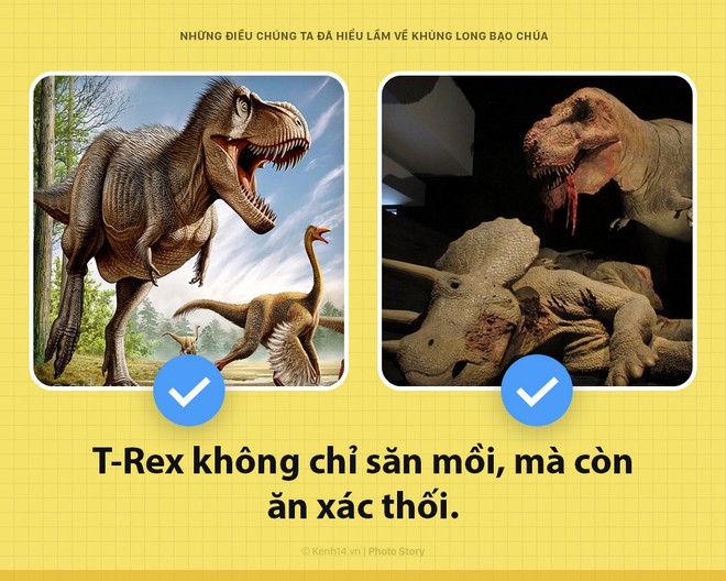 Hey! Là T-Rex bạo chúa của Jurassic World đây và các ông đã nhầm về tôi hết rồi - Ảnh 3.