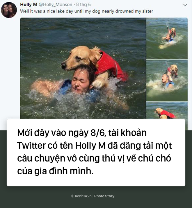 Dắt c&uacute;n cưng đi bơi, c&ocirc; g&aacute;i trẻ su&yacute;t bị ch&iacute;nh con boss của m&igrave;nh d&igrave;m chết - Ảnh 1.