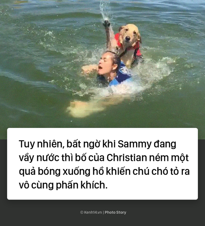 Dắt cún cưng đi bơi, cô gái trẻ suýt bị chính con boss của mình dìm chết - Ảnh 7.