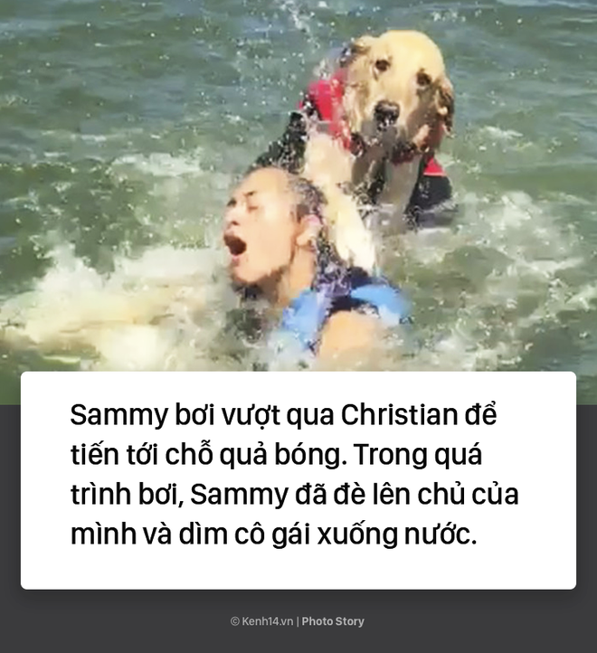 Dắt c&uacute;n cưng đi bơi, c&ocirc; g&aacute;i trẻ su&yacute;t bị ch&iacute;nh con boss của m&igrave;nh d&igrave;m chết - Ảnh 9.