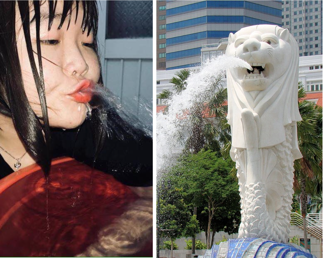 Bắt trend tạo dáng với bồn nước nhưng thất bại, cô gái trẻ bỗng dưng nổi tiếng vì giống hệt sư tử biển Singapore - Ảnh 4.