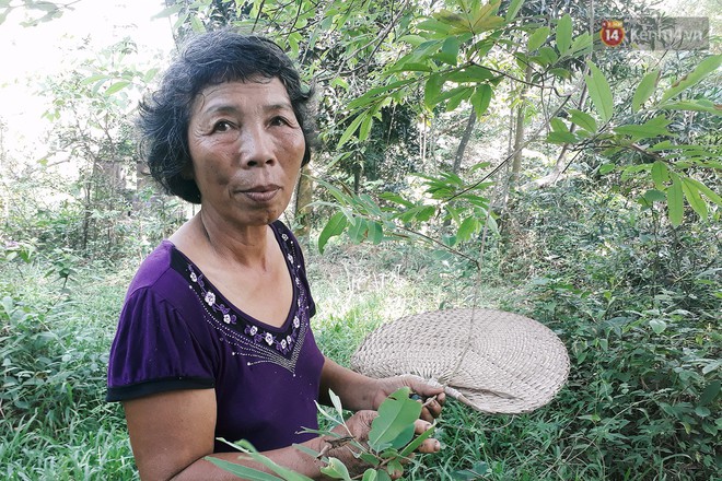 Cô giáo về hưu 15 năm sống trên ốc đảo ở Vĩnh Phúc: Không ra chợ, không biết bệnh tật và không cần đến tiền! - Ảnh 2.