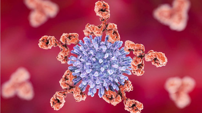 Chỉ còn 1 năm nữa, vaccine chống HIV sẽ chính thức được thử nghiệm trên người - Ảnh 1.