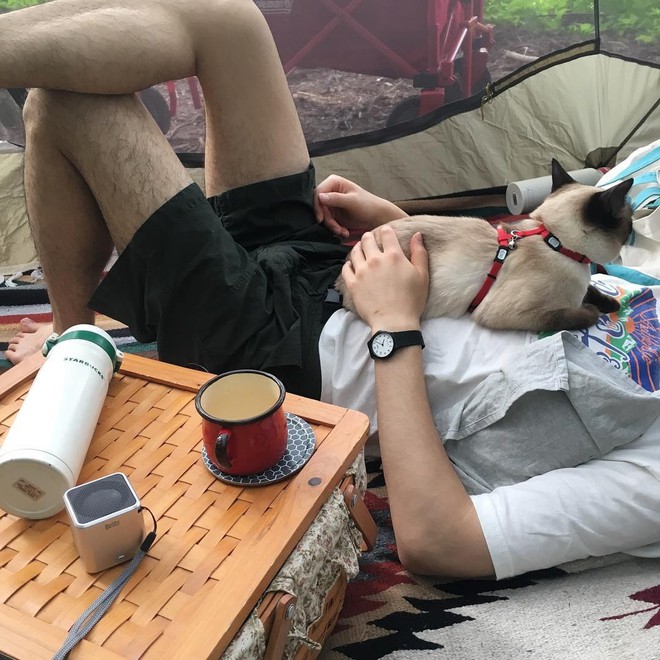 Một miếng nhỏ hạnh ph&uacute;c: tr&agrave;o lưu xuất ph&aacute;t từ s&aacute;ch của Haruki Murakami đ&atilde; lan ra thế giới - Ảnh 2.