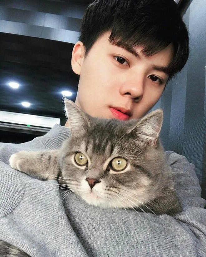 Đỉnh cao Fanboy: Mê Sehun (EXO) đến nỗi thấy mình giống như anh em sinh đôi của thần tượng - Ảnh 5.