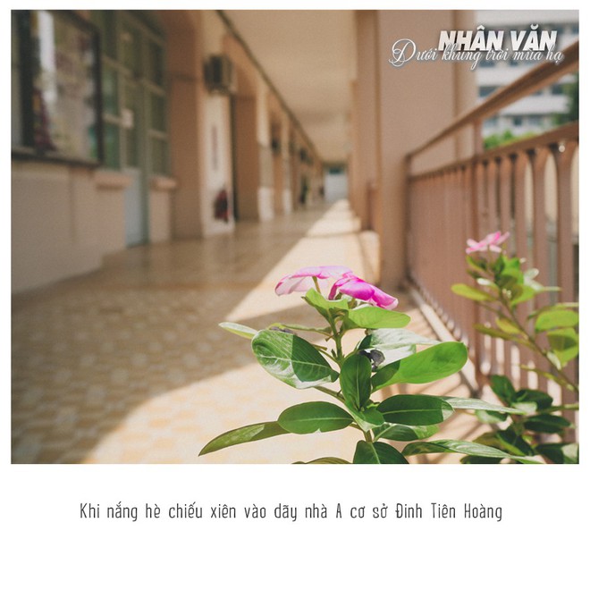 Nhân văn dưới khung trời mùa hạ: Có một ngôi trường dễ thương đến lạ kỳ như thế! - Ảnh 15.