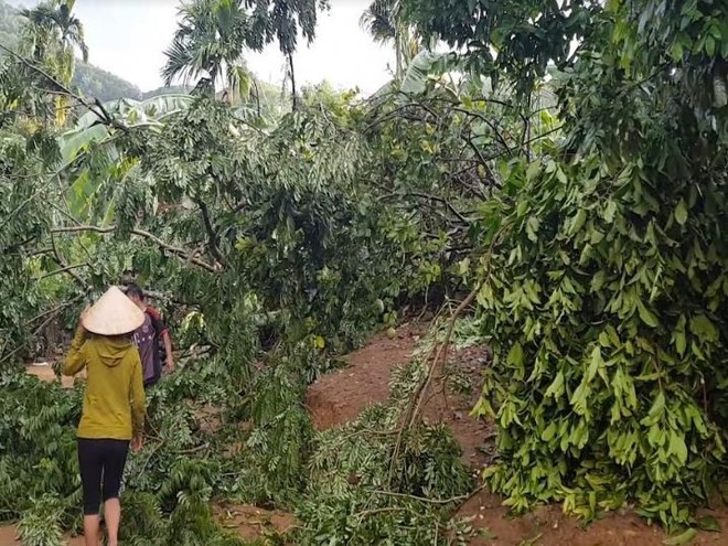 Lốc xoáy bất ngờ khiến nhiều nhà dân và công sở tốc mái - Ảnh 2.