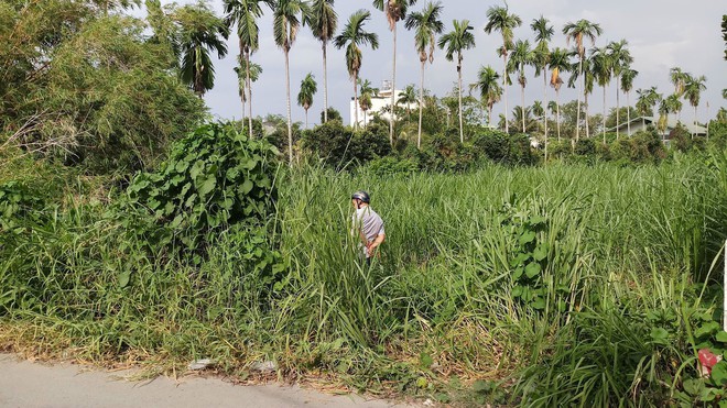 Phát hiện thi thể người đàn ông đang phân hủy trong bãi cỏ ở Sài Gòn - Ảnh 1.