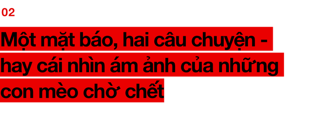 Chuyện ở những đất nước mà chó mèo có hai số phận: Được cưng chiều hết mực, hoặc oặt mình trong lồng cũi tới bàn tiệc - Ảnh 7.