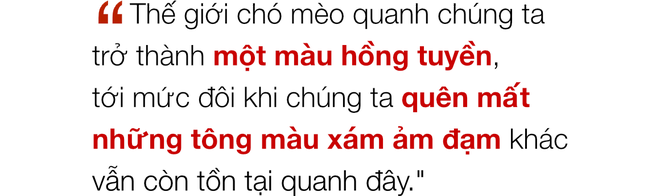 Chuyện ở những đất nước mà chó mèo có hai số phận: Được cưng chiều hết mực, hoặc oặt mình trong lồng cũi tới bàn tiệc - Ảnh 6.