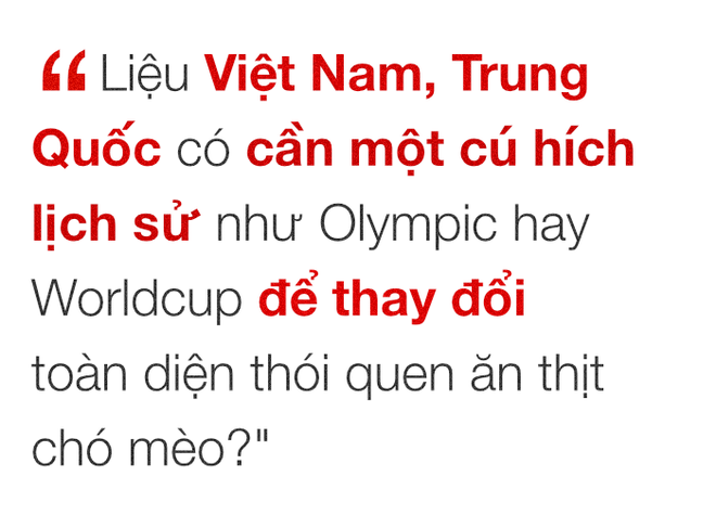 Chuyện ở những đất nước mà chó mèo có hai số phận: Được cưng chiều hết mực, hoặc oặt mình trong lồng cũi tới bàn tiệc - Ảnh 18.