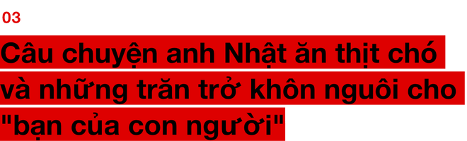 Chuyện ở những đất nước mà chó mèo có hai số phận: Được cưng chiều hết mực, hoặc oặt mình trong lồng cũi tới bàn tiệc - Ảnh 11.