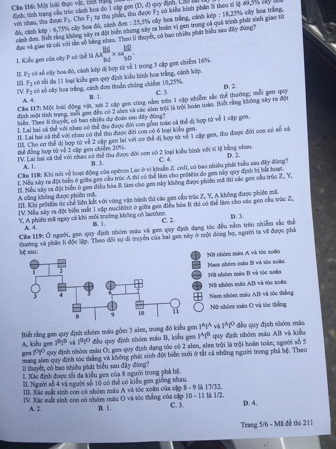 Đề thi môn Sinh học dài và khó! Thí sinh khoanh bừa vì không đủ thời gian làm bài! - Ảnh 5.