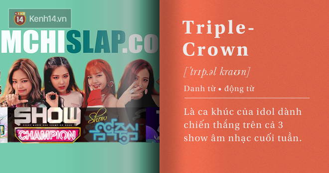 Kpop cho người mới bắt đầu (Phần 1): 5 thuật ngữ cơ bản bạn nhất định phải biết nếu muốn bước ch&acirc;n v&agrave;o thế giới Hallyu - Ảnh 4.