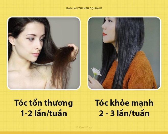 Có nên gội đầu 1 lần/ngày? Đây mới là cách gội thực sự dành cho các chị em! - Ảnh 7.