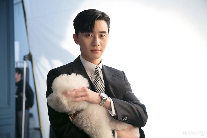 Hết cả hơi để đọc được t&ecirc;n ch&uacute; ch&oacute; của Ph&oacute; chủ tịch Park Seo Joon: Big Bang Andromeda Supernova Sonic - Ảnh 10.