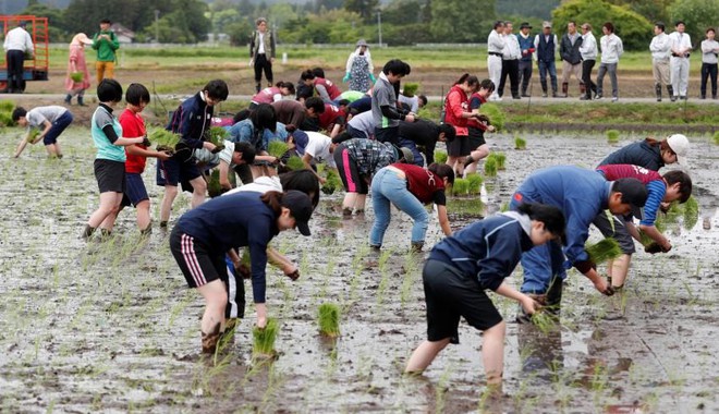 Bảy năm sau thảm họa sóng thần, thành phố ma Fukushima giờ đây trở thành tâm điểm du lịch tại Nhật Bản - Ảnh 8.