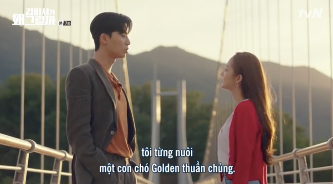 Hết cả hơi để đọc được t&ecirc;n ch&uacute; ch&oacute; của Ph&oacute; chủ tịch Park Seo Joon: Big Bang Andromeda Supernova Sonic - Ảnh 4.