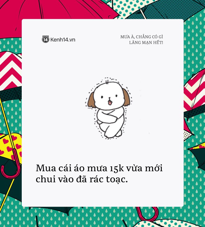 Được h&ocirc;m mặc nguy&ecirc;n bộ đồ trắng th&igrave; trời mưa: được lắm, t&ocirc;i ổn! - Ảnh 1.