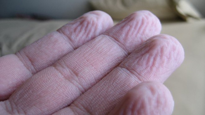 Ai cũng tưởng những bộ phận n&agrave;y v&ocirc; dụng, nhưng h&oacute;a đ&acirc;y l&agrave; vai tr&ograve; của ch&uacute;ng - Ảnh 3.