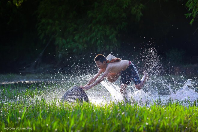 Bộ ảnh làng mạc Việt Nam trong lành mát rượi của một thầy giáo cấp 3 khiến dân tình ào ào về quê dịp cuối tuần - Ảnh 3.